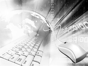 世貿(mào)組織就信息技術(shù)產(chǎn)品達(dá)成里程碑式協(xié)議 信息技術(shù)協(xié)定擴(kuò)圍 多項產(chǎn)品將免稅