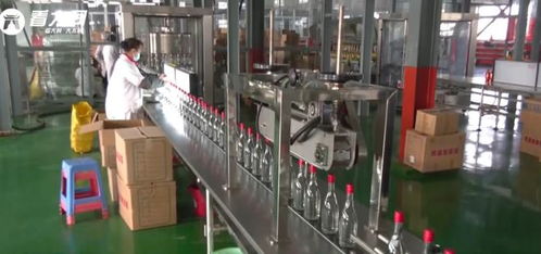 恒山釀酒廠 老字號(hào)煥發(fā)新生機(jī)